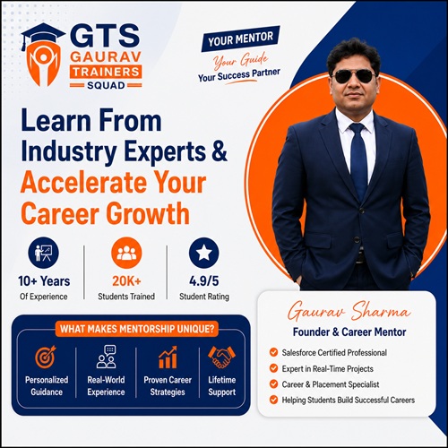 Career Mentor Gaurav IT Training and Placement Support